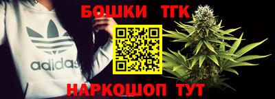трава Сланцы