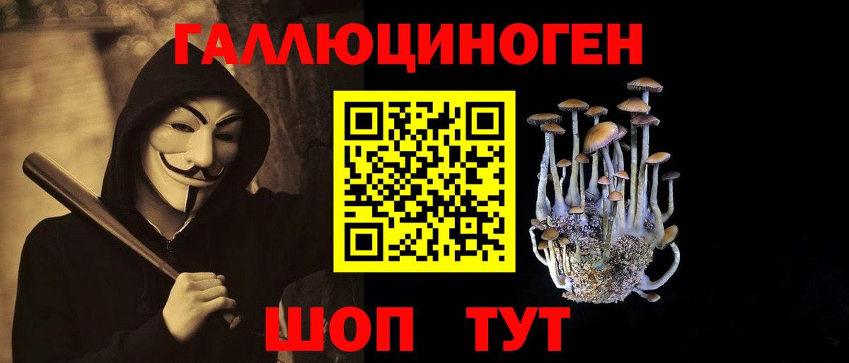 магазин    Вход с VPN  Пенза  Галлюциногенные грибы Cubensis 