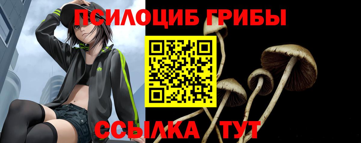 Псилоцибиновые грибы Magic Shrooms Пенза